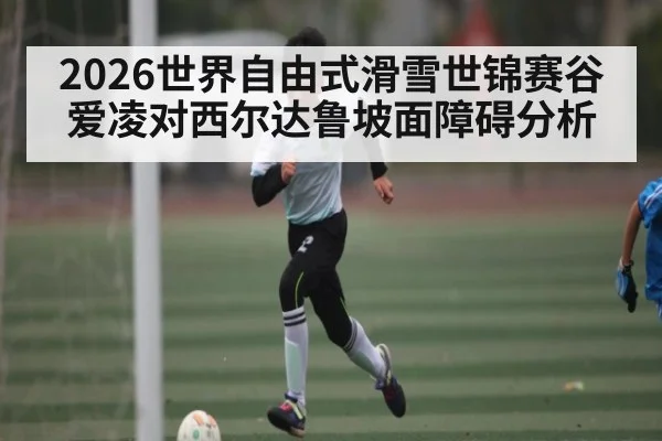 2026世界自由式滑雪世锦赛谷爱凌对西尔达鲁坡面障碍分析