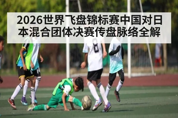 2026世界飞盘锦标赛中国对日本混合团体决赛传盘脉络全解